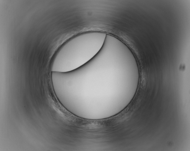 X0000112970578200908270945