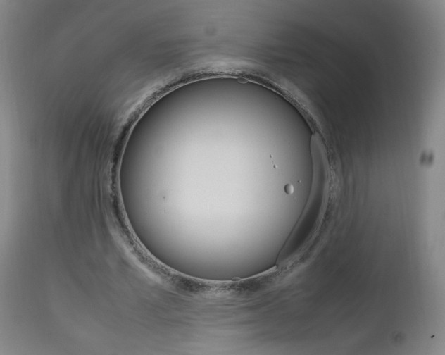 X0000112970581200908270945