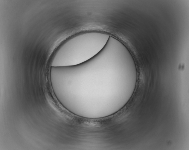 X0000112970582200908270945