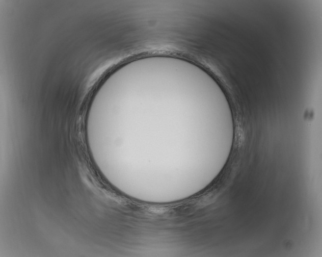 X0000112970583200908270945