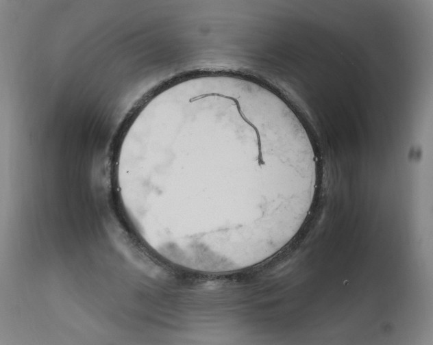X0000112970584200908270945