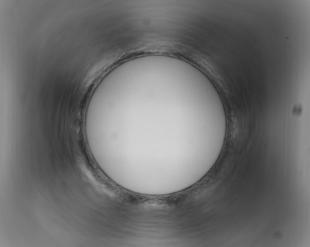 X0000112970586200908270945