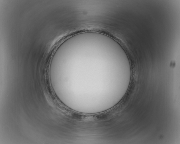 X0000112970587200908270945