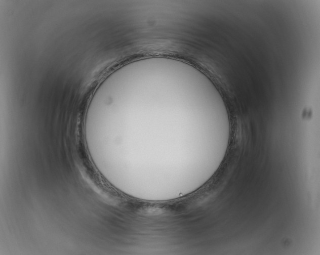 X0000112970590200908270945