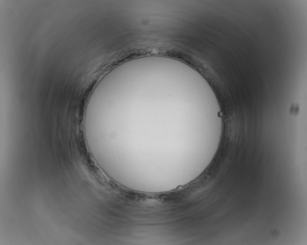 X0000112970594200908270945