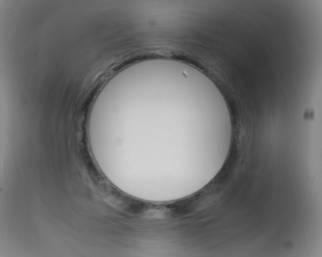 X0000112970595200908270945