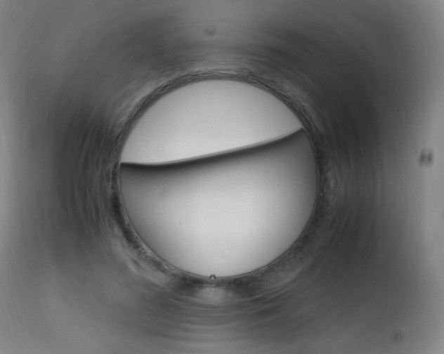 X0000112970596200908270945