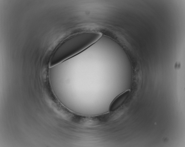 X0000112970597200908270945