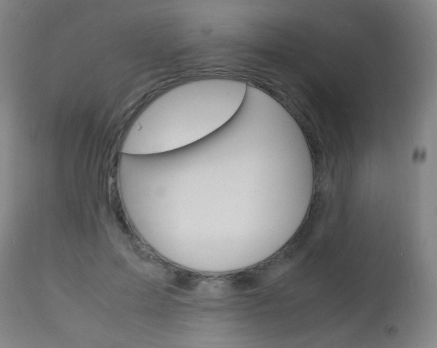 X0000112970599200908270945