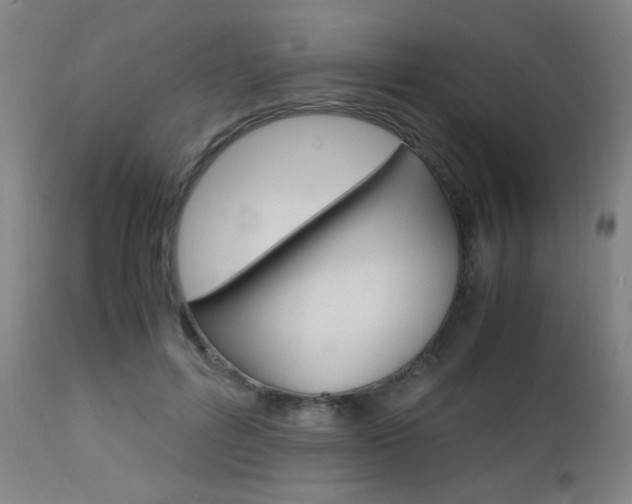 X0000112970600200908270945