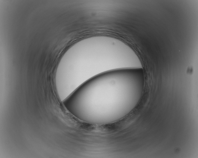 X0000112970601200908270945