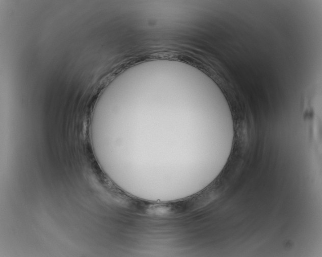 X0000112970602200908270945