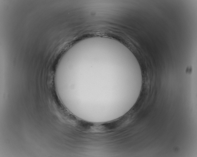 X0000112970603200908270945