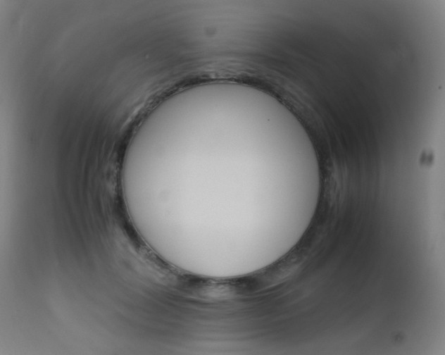 X0000112970604200908270945