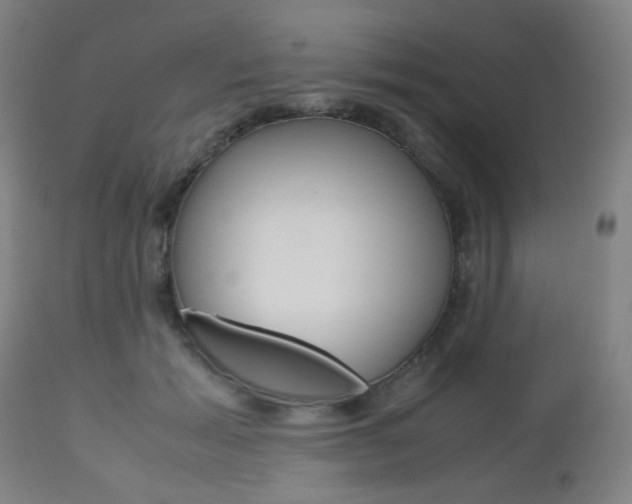 X0000112970605200908270945