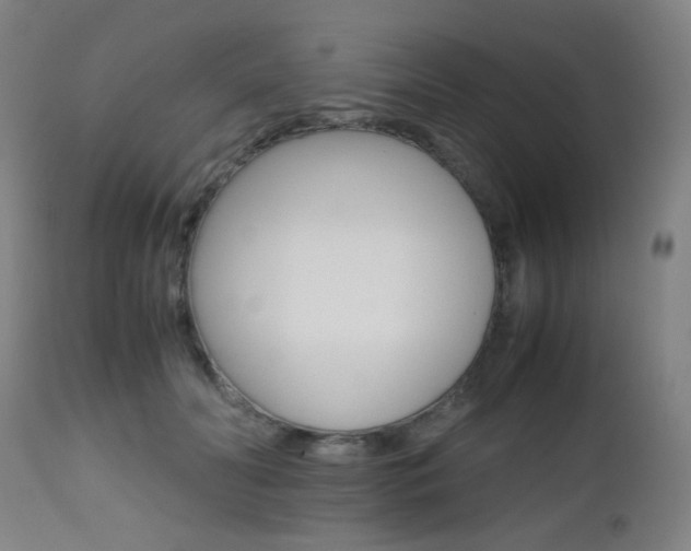 X0000112970606200908270945
