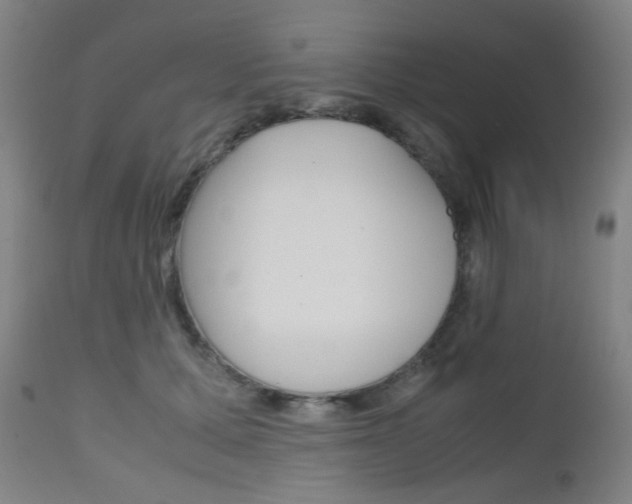 X0000112970607200908270945