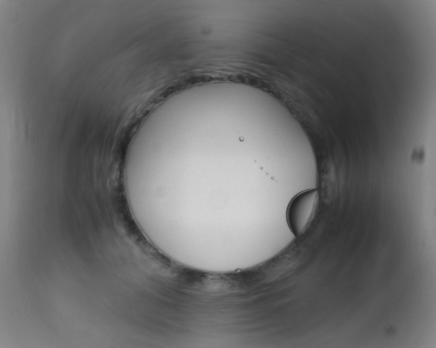 X0000112970608200908270945