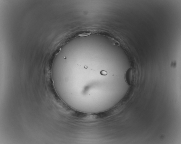 X0000112970609200908270945
