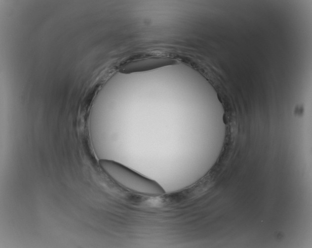 X0000112970611200908270945