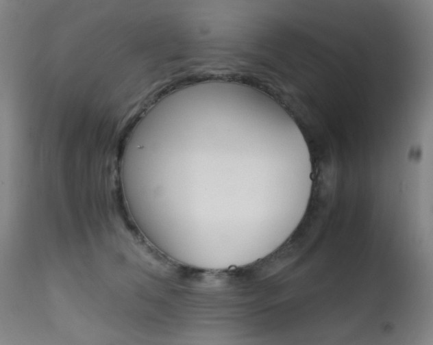 X0000112970612200908270945