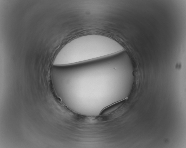 X0000112970613200908270945