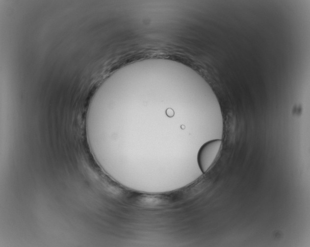 X0000112970614200908270945