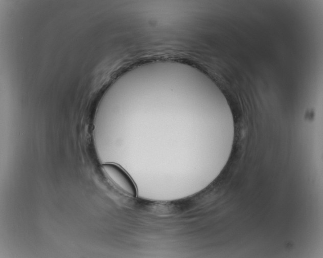X0000112970615200908270945