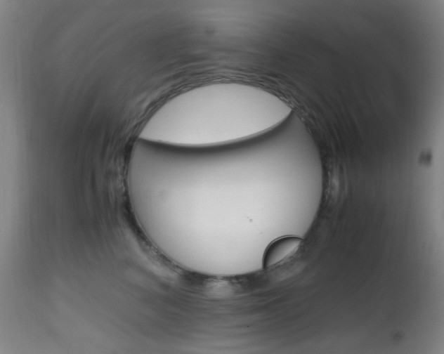 X0000112970616200908270945