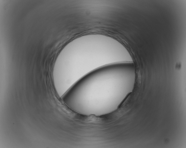 X0000112970617200908270945