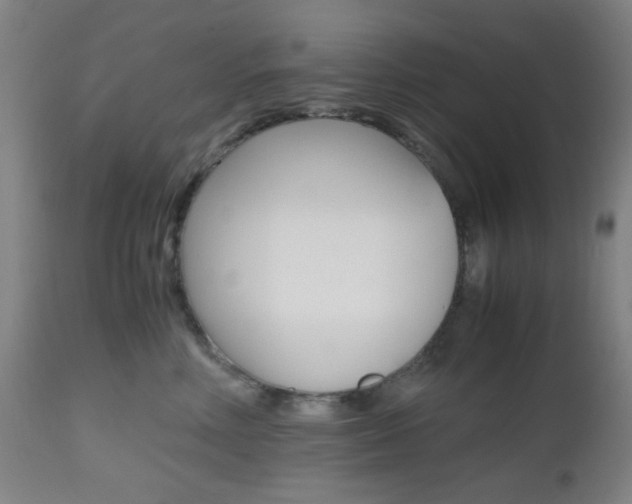 X0000112970618200908270945