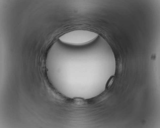 X0000112970619200908270945
