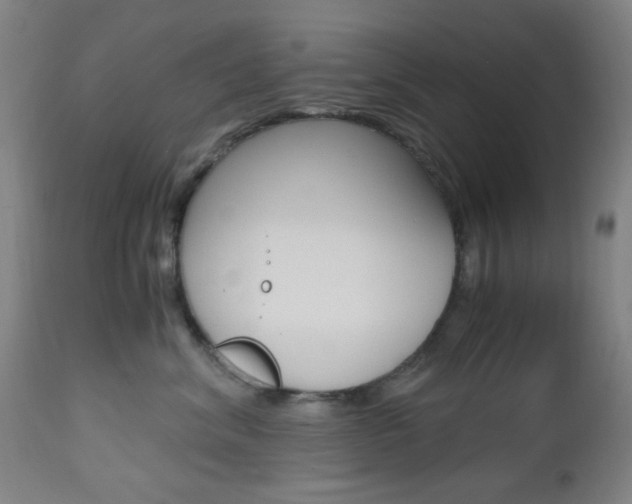 X0000112970620200908270945
