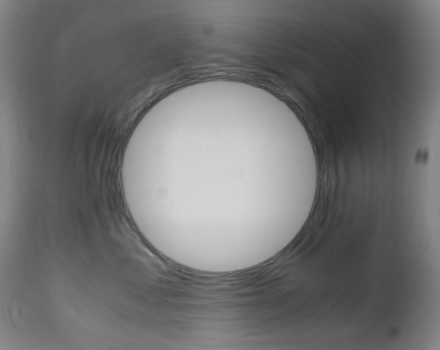 X0000112970621200908270945