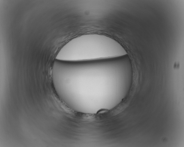 X0000112970624200908270945