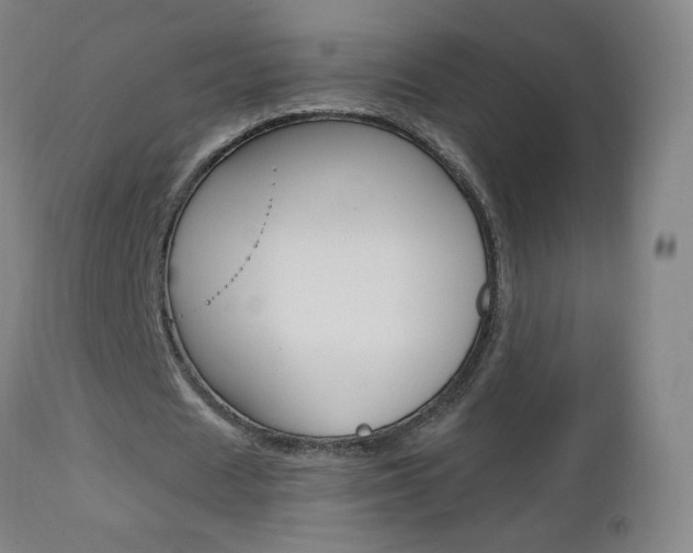 X0000112970625200908270944