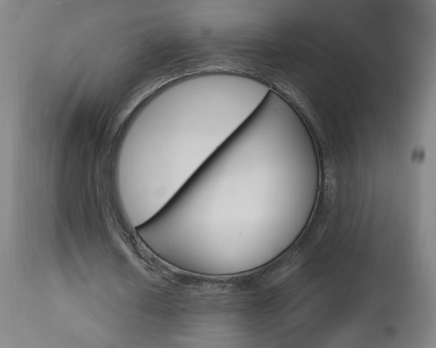 X0000112970626200908270944