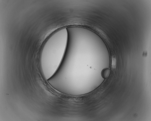 X0000112970627200908270944