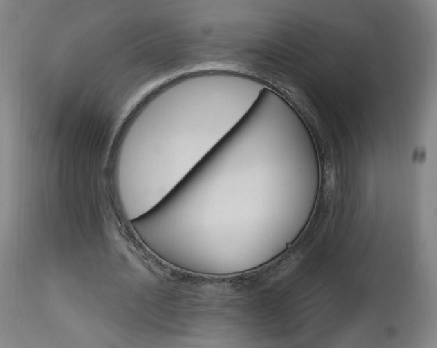 X0000112970628200908270944