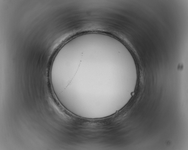 X0000112970629200908270944