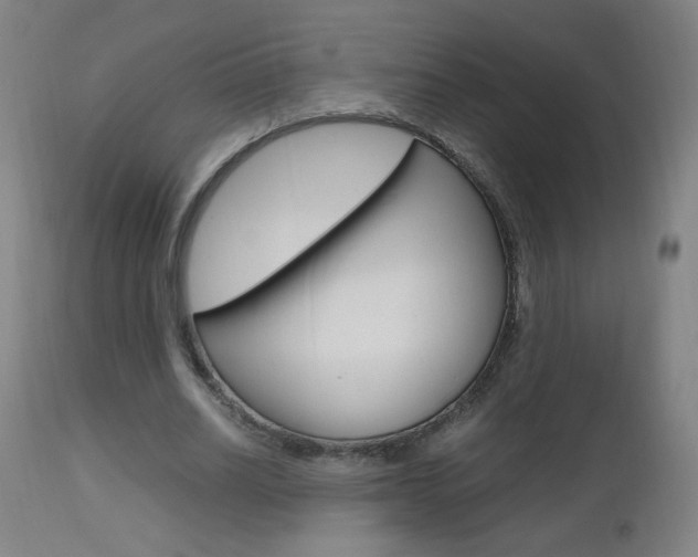X0000112970630200908270944