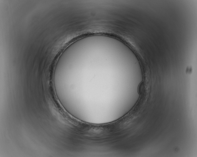 X0000112970631200908270944