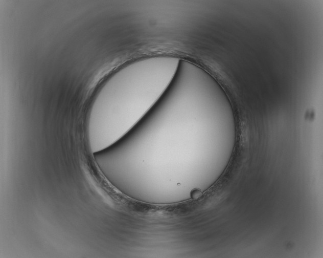 X0000112970634200908270944