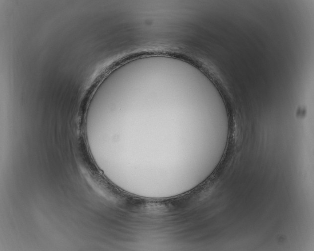 X0000112970636200908270944