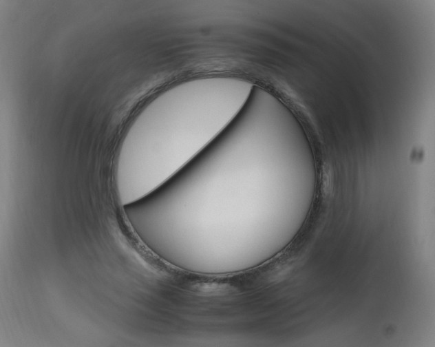 X0000112970637200908270944