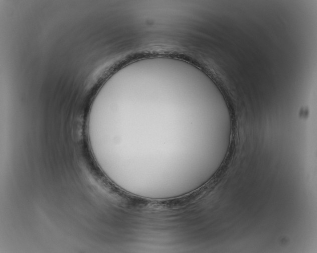 X0000112970640200908270944