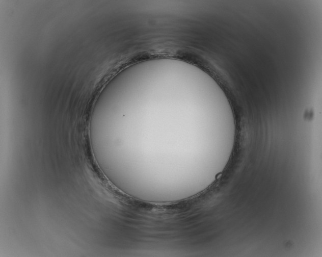 X0000112970641200908270944