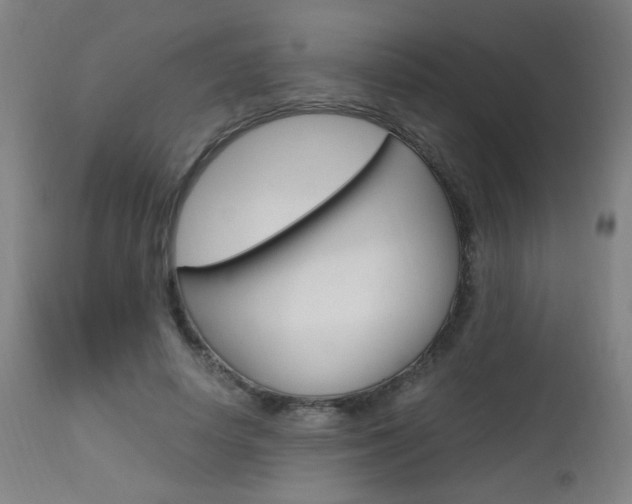 X0000112970642200908270944