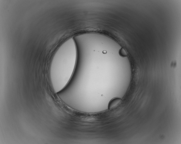 X0000112970643200908270944