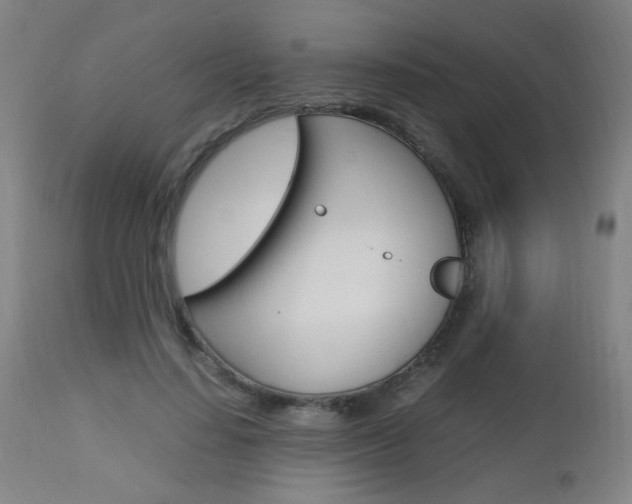 X0000112970644200908270944
